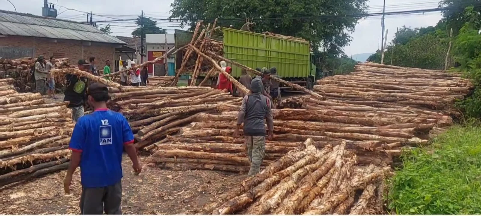 Jual Kayu Dolken Gelam Ciamis Harga Murah