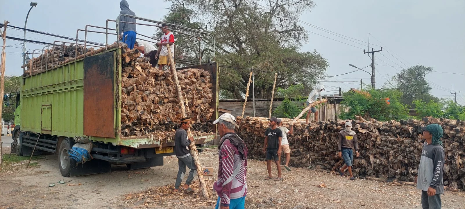 Jual kayu dolken Majalengka murah.jpeg