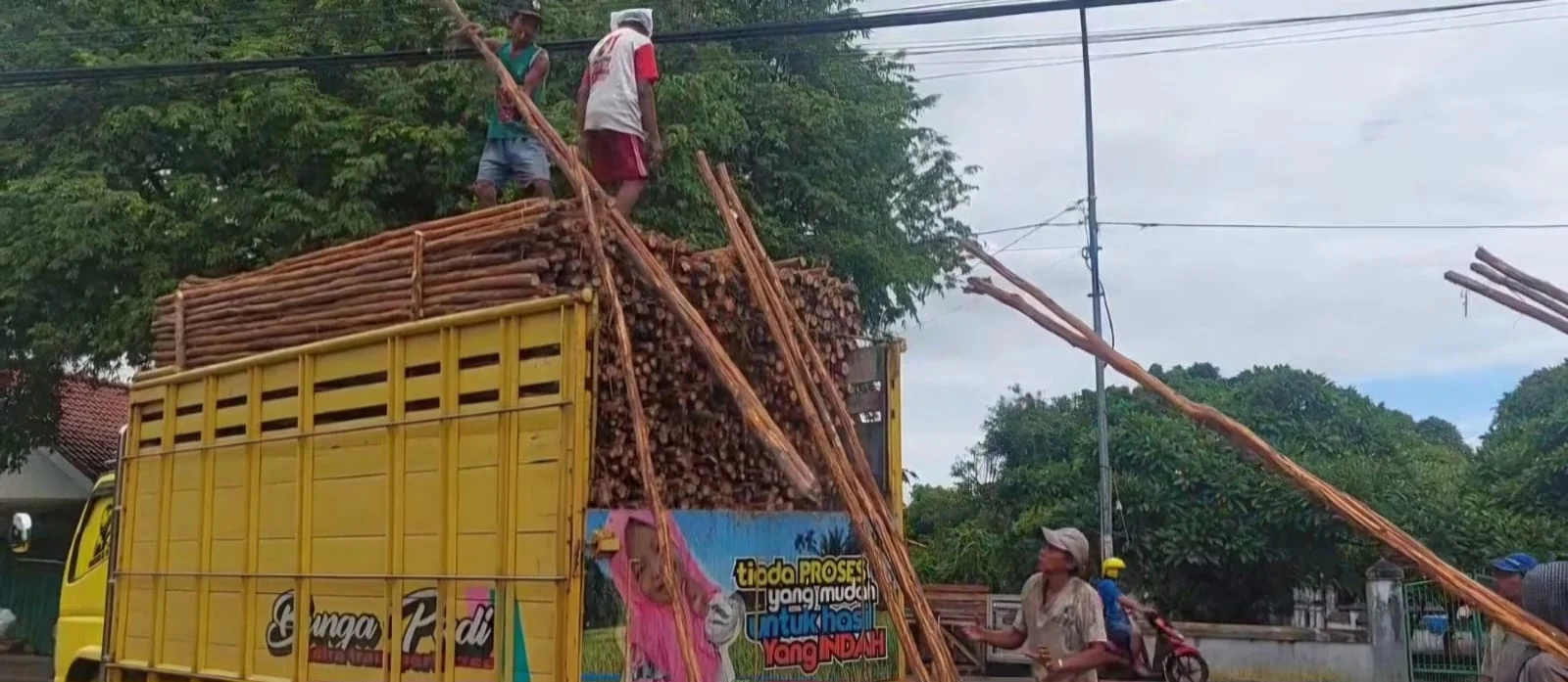 Jual kayu dolken gelam Cikarang