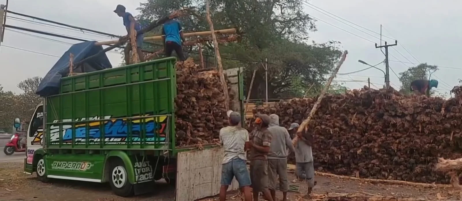 Jual kayu dolken gelam Depok