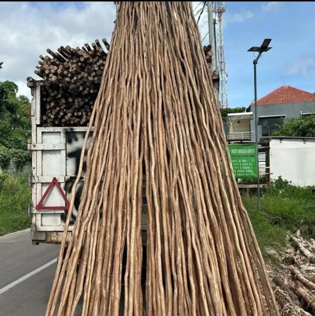 Jual kayu dolken gelam Kendal harga murah