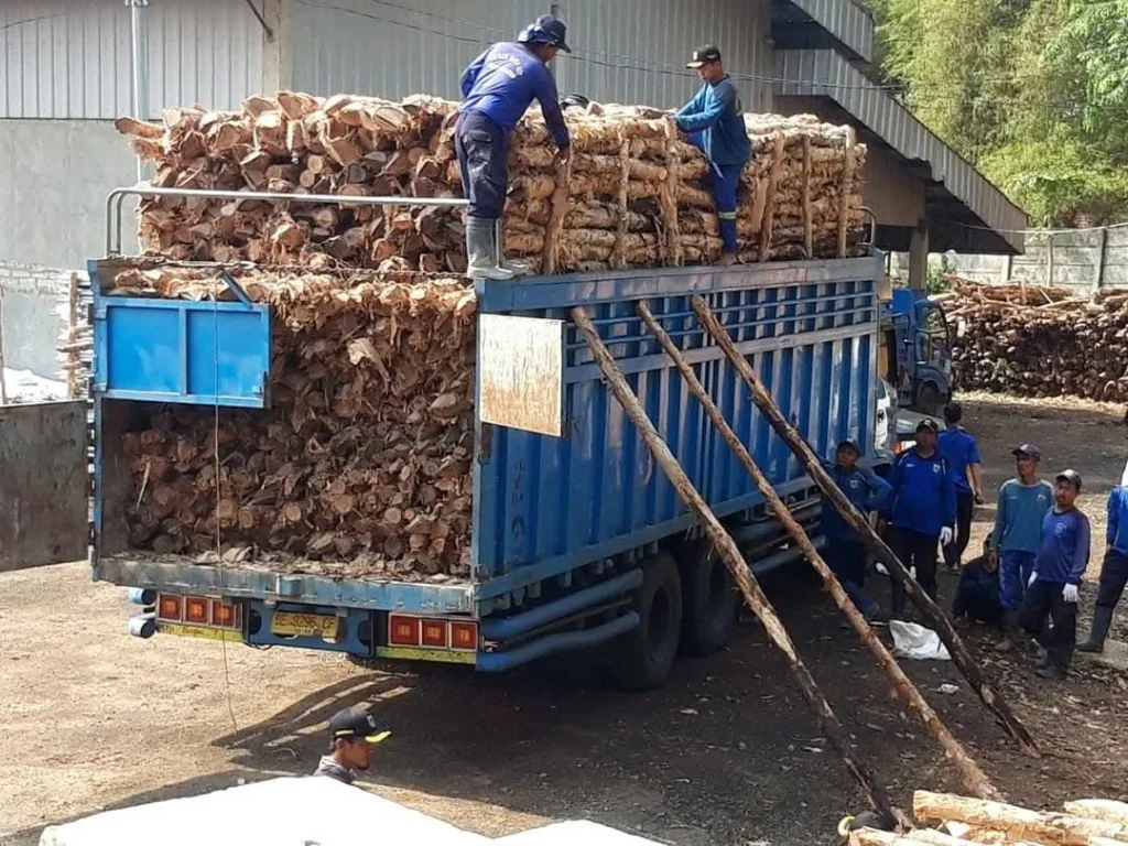 Jual kayu dolken gelam Magelang