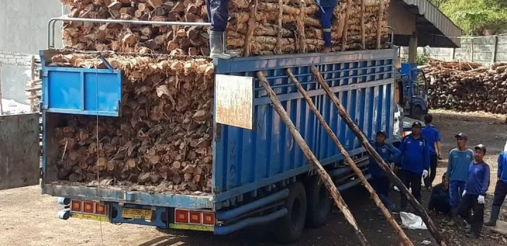 Jual kayu dolken gelam Magelang - Jual Kayu Dolken Terdekat untuk Berbagai Kebutuhan Proyek