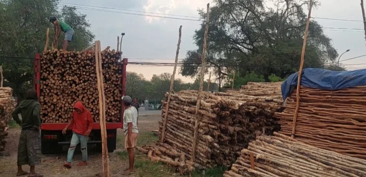 Kayu dolken murah terdekat